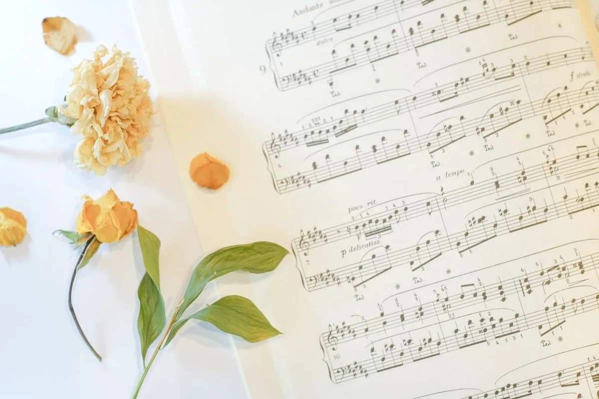 東大宮駅周辺での音楽教室で最適なレッスン選び！初心者向けから専門コースまで紹介