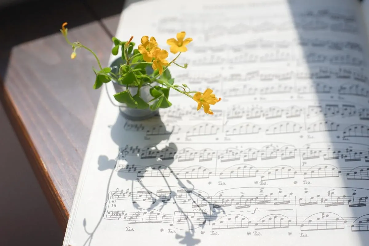 さいたま新都心駅周辺の音楽教室で大人も安心の体験レッスンと選び方について詳しく解説